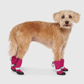 Dog Shoes Boots Rubber Material Luxury Style Print Pattern Water-proof Easy to Put on Outdoor Walking Hiking Climbing