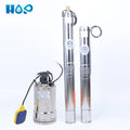 Water Pump Electric Submersible Deep Well 4SDM2/6 Borehole Deep Well Pump Dc Pump MegaBDM