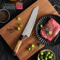Professional Japanese Chef Knife  67 Layers Damascus Steel Novel Rose Pattern with Fluorescent Handle