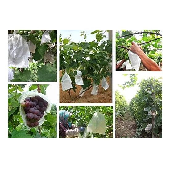 Eco Friendly PP Non Woven Uv Treated Custom Grape Banana mango Fruit White Non Woven Fruit Cover protection Bag