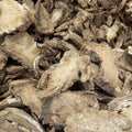Duhuo Chinese Herbal Top Grade Shishiudo New Dried Sliced Angelica Pubescens Root for Herb
