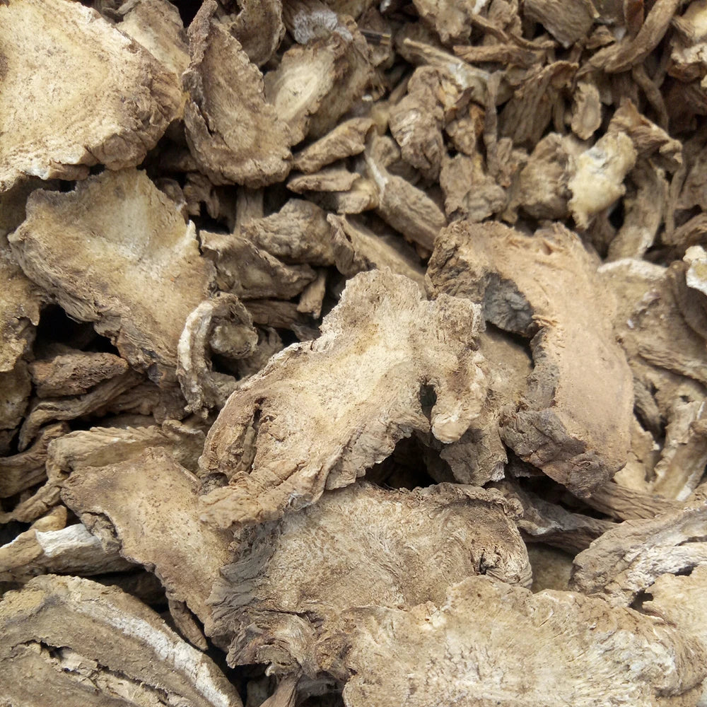 Duhuo Chinese Herbal Top Grade Shishiudo New Dried Sliced Angelica Pubescens Root for Herb