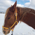 New product 2026 2023 New Unique Horse Halter Hardware Manufactured for Racing Training Includes Rein and Lead Rope