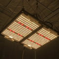 KingBrite Double Heatsink 240w Samsung Lm301h Mix XP-G3 660nm Led Grow Light for Indoor