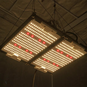 KingBrite Double Heatsink 240w Samsung Lm301h Mix XP-G3 660nm Led Grow Light for Indoor