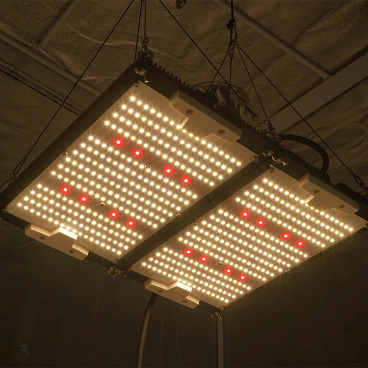 KingBrite Double Heatsink 240w Samsung Lm301h Mix XP-G3 660nm Led Grow Light for Indoor