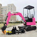 A Manufacturing Plant in China Is Currently Seeking an Agent for Epa Engine Crawler Excavator Euro 5 Mini Excavators