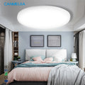 30W Indoor Study Living Room Surface Mounted Round Modern Style Warm Cold White Ceiling Lights/Ceiling Lamp/Ceiling Light