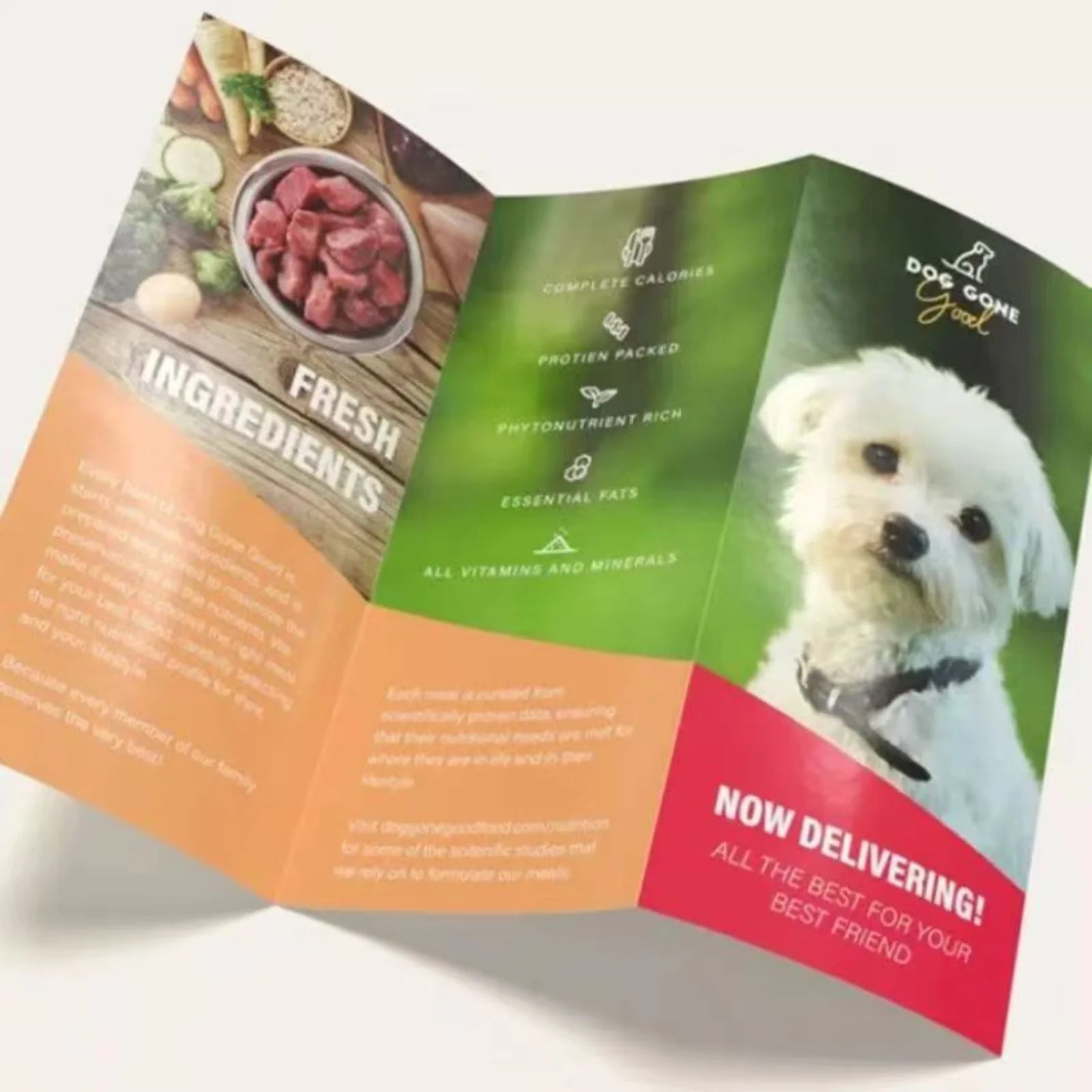 Custom Catalog Brochure Printing Luxury Brochure Catalog Printing Brochure