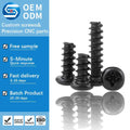 M1-M5 Carbon Steel Black Zinc PB Pan Head Phillips Self Tapping Micro Screws Mini Electronic Screws for Toys and Plastics
