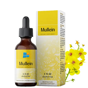 OEM/ODM/OBM Best Selling Products Mullein Drops Immune Support Mullein Leaf Extract Drops for Lung Detox & Respiratory Support