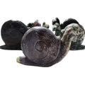 Wholesale High Quality Natural Crystal Quartz Polished Ocean Jasper Snails for Decoration