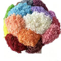 Preserved Anna Hydrangeas Dry Bouquets Single Stems-Wedding Christmas Home Decor Eternal Natural Touch Long-Lasting 3-5 Years