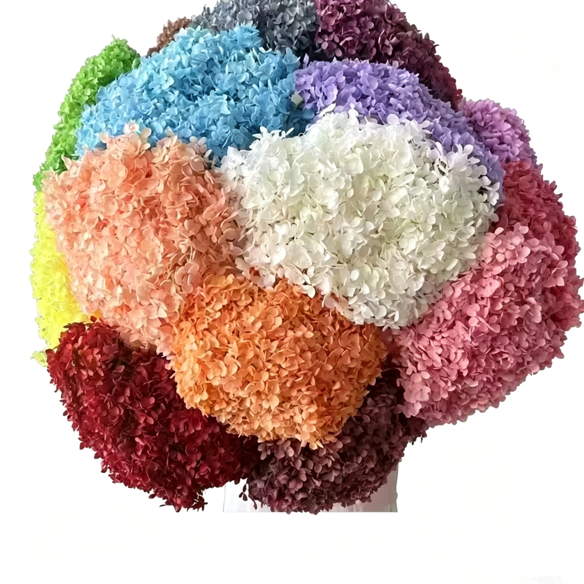 Preserved Anna Hydrangeas Dry Bouquets Single Stems-Wedding Christmas Home Decor Eternal Natural Touch Long-Lasting 3-5 Years