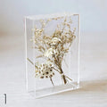 Modern for DIY Decorative Acrylic Shadow Box Frames with Polished Surface for Keepsake Display of Dried Flowers Customizable