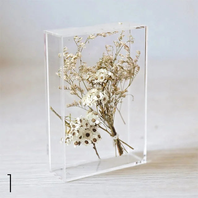 Modern for DIY Decorative Acrylic Shadow Box Frames with Polished Surface for Keepsake Display of Dried Flowers Customizable