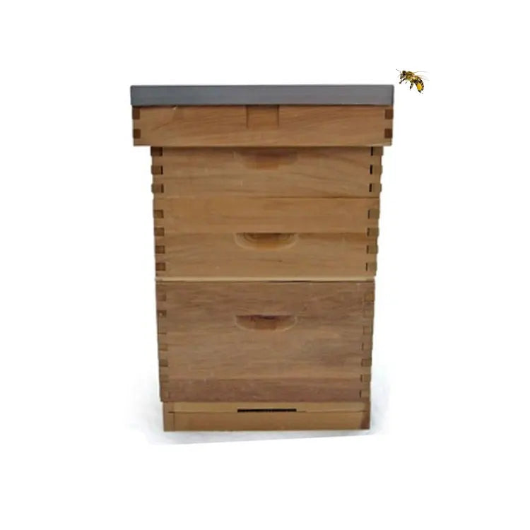 British Style Angular Double Box Beehives