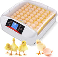 Hhd Mini Automatic Incubator Egg Farming Quail 2024 New Innovation Controller Electric
