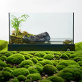 YEE Factory Wholesale Turtle Water tank Kit Aquarium Quick Drainage Low Iron Glass Turtle Tank