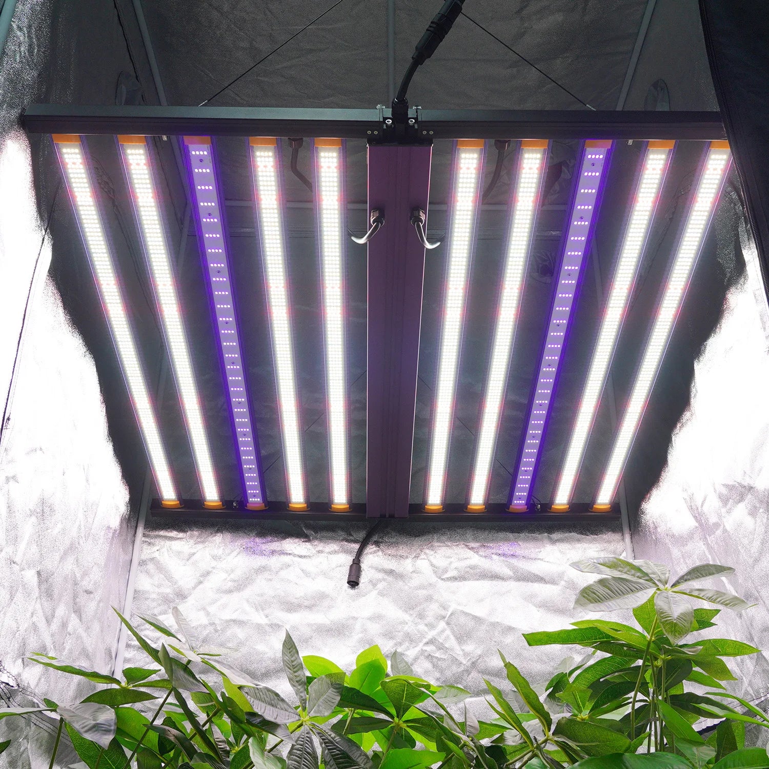 800W-1600W New Indoor Home LED Grow Light for Planting High-PPFD High-Harvest Waterproof Commercial Aluminum Lamp Body IP65
