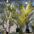 Vv228 Manufacturers Wholesale High Emulation Artificial Plants Artificial Trees Green Plants Plants Pot Hotel Home Wedding Decor