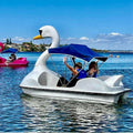 Maximize Safety and Fun with Customizable Multi-Colored Swan Pedal Boat for Two on Lakes - Perfect for Commercial Use