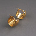 18K Gold Plated 2020 Trendy Minimalist Women's Jewelry 316L Stainless Steel Hypoallergenic Chunky Thick Hoop Earrings