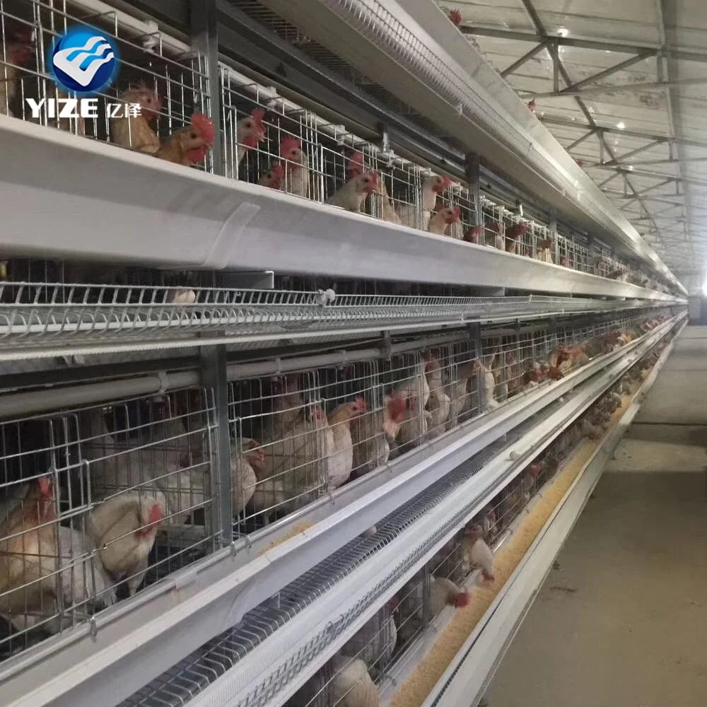 China Cheap Chicken Layer Cage Price/Egg Laying Hens Cage ( Factory Price)