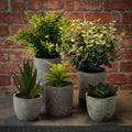 AYOYO Artificial Potted Plants Pulp Plastic Pots-22CM Small Indoor Bonsai Faux Floral Decor Environment-Friendly for Home Living MegaBDM