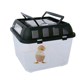 Aquariums Plastic Pet Box Portable Transparent Fish Tank Turtle Tank Reptile Box