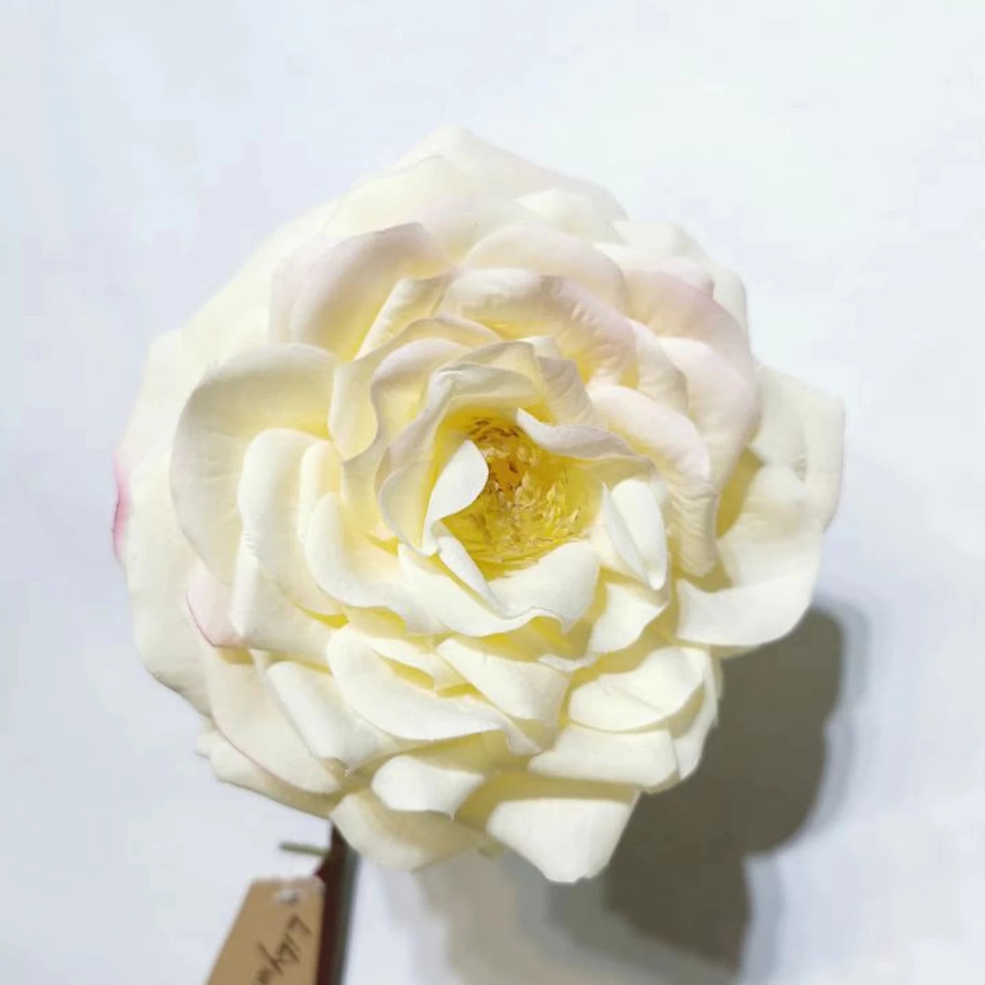 H-563 High End Ins Artificial Big Rose 15cm Flower Real Touch Silk Latex Coated Large Faux Toffee Dusty Rust Burnt Orange