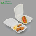 Biodegradable Food Packaging Containers Wholesale Compostable Bagasse Cornstarch Takeout Lunch Box Manufacturer