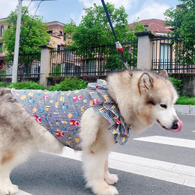 M~6XK 2023 SUMMER Medium and Large Pet Dog Breed Clothes