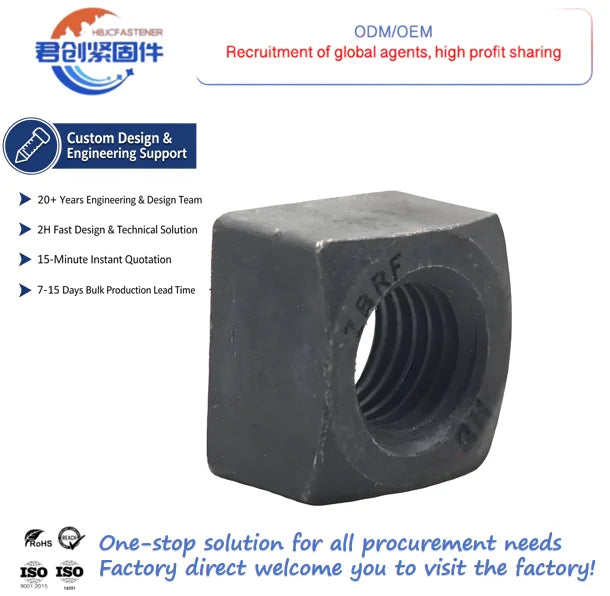 Square Nut China Customization Black High Strength Nut Manufacturer Bolt and Nut Black Fasteners Manufacturer M8 M10