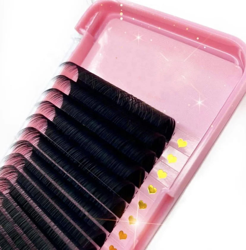 Private  Label Lash Supplies Silk Lash Extension Tray Easy Blooming Fans Matte /Shiny Volume Eyelash Extension Professional