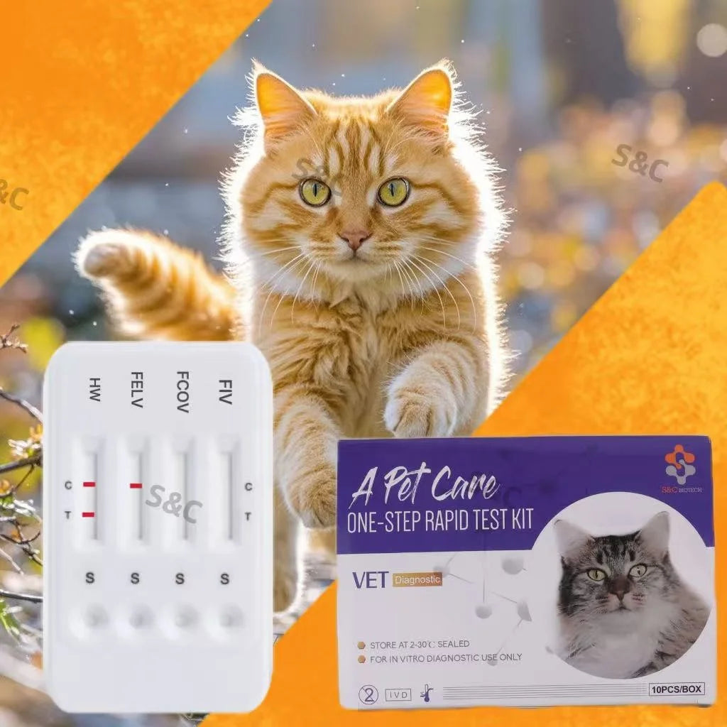 Manufacturer Price Cat Disease Pet Care Feline FIP / FIPV GIA Rapid Test /veterinary Kit/ a Pet Care test