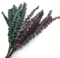 Eucalyptus Leaves Glycerin Preserved Foliage Mother's Day Graduation Wedding Christmas Thanksgiving Home Decor-Durable Elegant