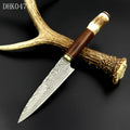 8.7 Inch Damascus Fixed Blade Kitchen Knife with Antlers Handle