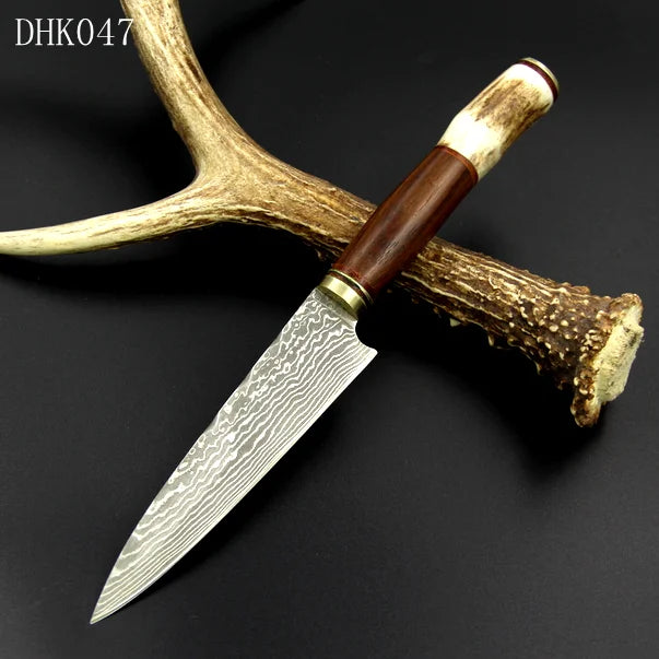 8.7 Inch Damascus Fixed Blade Kitchen Knife with Antlers Handle