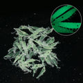 Small Size Luminous Shrimp Fishing Lure Soft Fish Lure  Noctilucence Bait 3cm Shrimp Fishy Smell