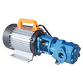 Micro Mini Electric Motor Portable Oil Transfer Pump WCB Gear Rotary Pump 220v/380v 50hz/60hz OEM 15-32mm WCB30 WCB50 WCB75