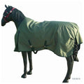 Kanpur Horse Rugs 100% Polyester 600D 1200D Ripstop Waterproof Oxford Fabric for Girls