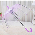 Transparent Dome Umbrella Japanese Sakura Umbrella Custom Printing Transparent Umbrella