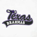Custom Brand Appliques for Clothes Badges Embroidered Patches