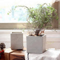Wholesale Modern Square Cement Garden Planter Decorative Flower Pot with Drainage Hole Eco-Friendly for Home & Garden Decor MegaBDM