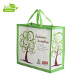 Custom Print Reusable Promotional Shopping Bag