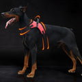 Adjustable Dog Chest Halter Harness with Quick Release Padded Sport Style Comfortable Cloth Material