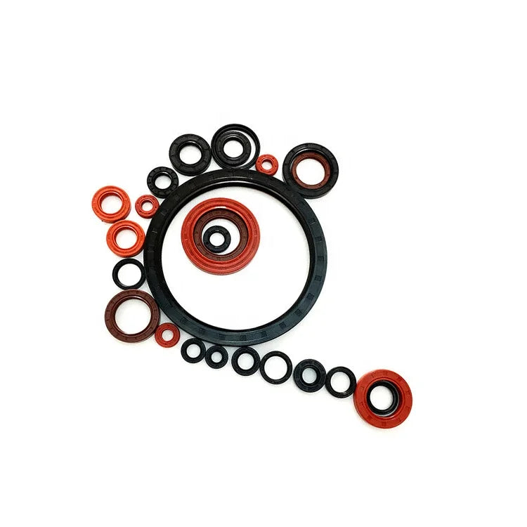 Nbr Buna Fkm Silicone Hnbr Epdm Tc Sc Oil Seal 97x125x12