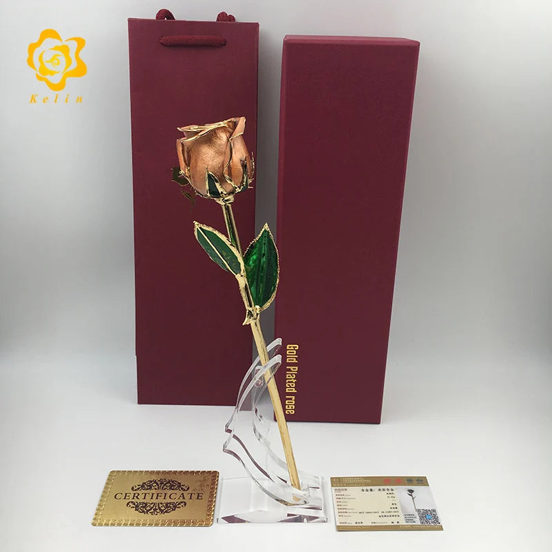 The Creative Wedding Guest Gifts Gold Plated Real Rose in champagne Color