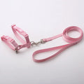 Eco-Friendly Nylon Dog Harness for Puppy Comfort & Control Features